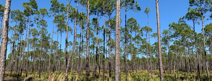 Panama City Beach Conservation Park is one of Beach Bums.