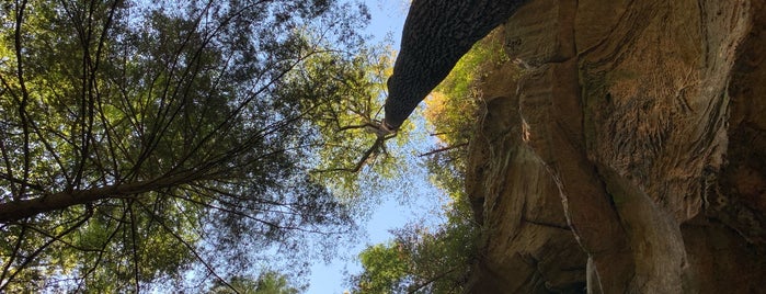 Red River Gorge - Rough Trail is one of Great Red River Gorge Sights!.