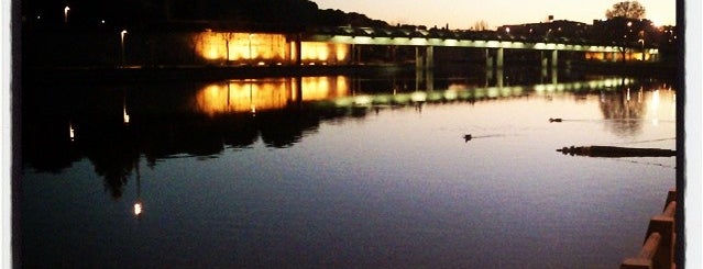 Lago del Parque Juan Carlos I is one of İspanya.