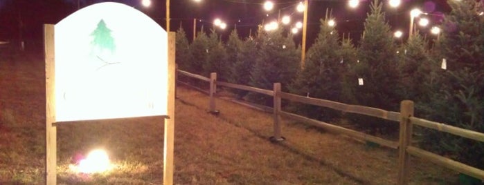Cranberry Tree Farm (Leesville Town Center) is one of Locais curtidos por Nick.