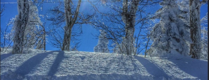 The Green Park Kartepe Resort & Spa is one of Açık hava.