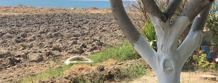 Naim'in yeri is one of Lieux qui ont plu à Tc Abdulkadir.