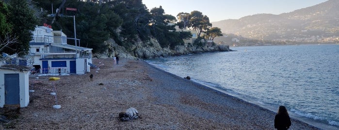 Plage Paloma is one of French Riviera 2 Saint tropez - Beaulieu- juan les.