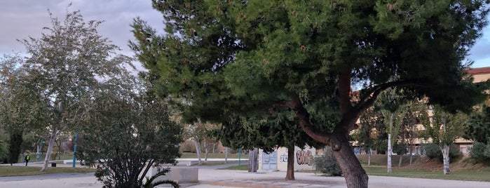 Arboleda de Macanaz is one of Parques de Zaragoza.