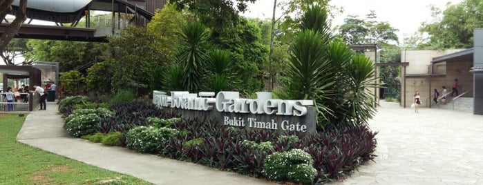 Ботанический сад Сингапура is one of Singapore Attractions.