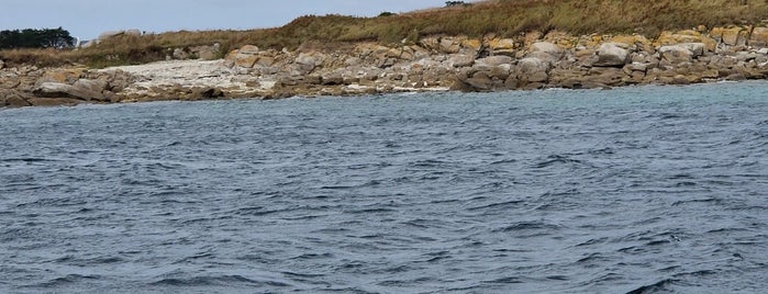 Île de Batz is one of Arnaudさんの保存済みスポット.