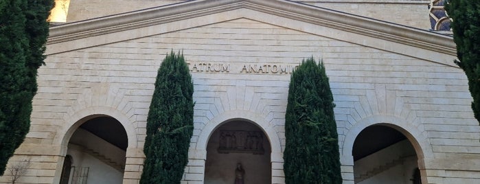 Musée d'Anatomie is one of Montpellier.