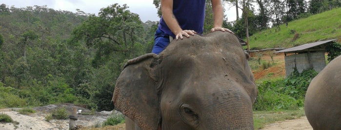 Hug Elephant Sanctuary is one of สถานที่ที่ Lalo ถูกใจ.