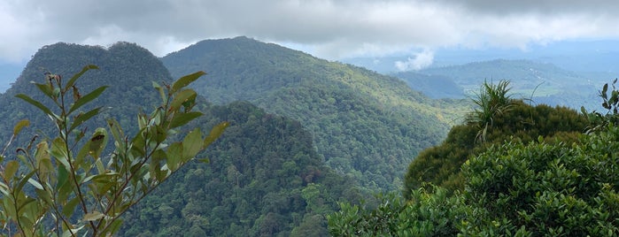 Kubah National Park is one of Kuching Tourist Trails.