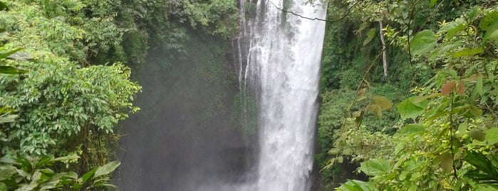 Aling-aling Waterfall is one of Водопады | BALI | Waterfalls.