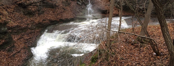 Bear's Gorge is one of Locais curtidos por Jason.