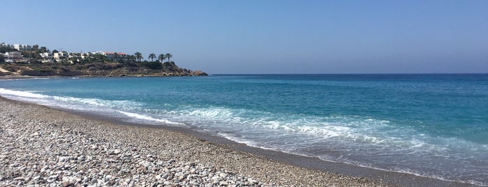 Kissonerga Beach is one of Alexander'in Beğendiği Mekanlar.