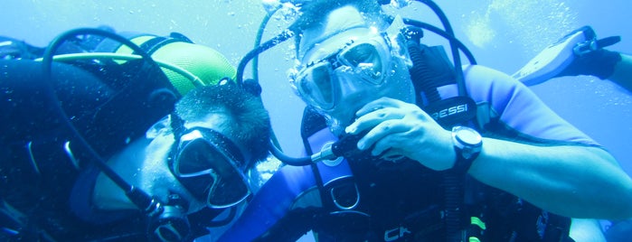 Nautilus Scuba Diving School is one of Gidilesi Mekanlar.