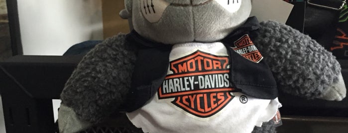 Harley-Davidson Cuernavaca is one of Giorgio : понравившиеся места.