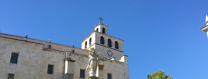 Catedral de Santander is one of Lieux qui ont plu à Pipe.