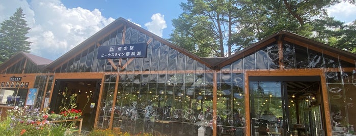 道の駅 ビーナスライン蓼科湖 is one of 道の駅 中部.