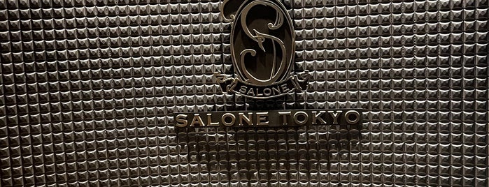 SALONE TOKYO is one of My experiences of Japan.