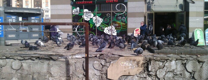 выставка голубей is one of Lugares favoritos de scorn.