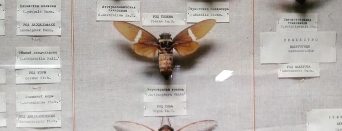 Зоологический музей РАН is one of scorn : понравившиеся места.