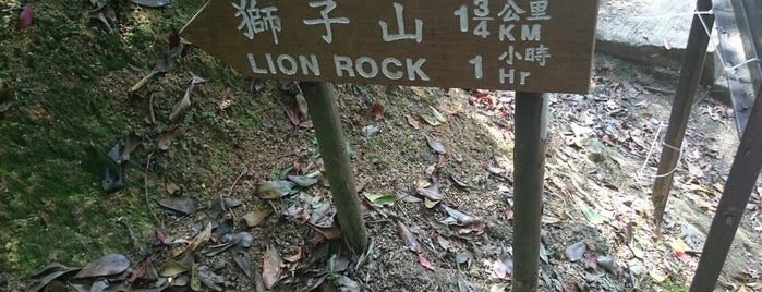 Lion Rock Country Park is one of Posti salvati di Edward.