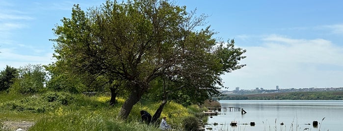 göl manzarası is one of Posti che sono piaciuti a Asil.