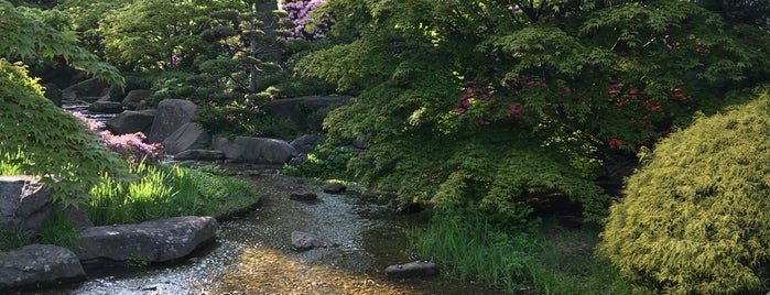 Ботанический сад (Плантен ун Бломен) is one of Katerina: сохраненные места.