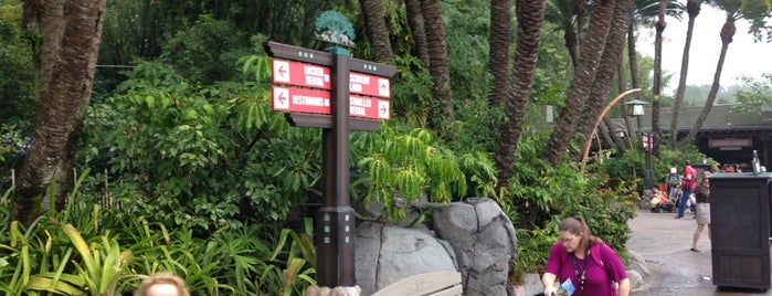Disney's Animal Kingdom is one of Tempat yang Disukai Fernando.