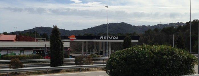 Estación de Servicio Repsol is one of Lidia’s Liked Places.