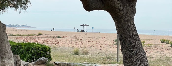 Playa Malgrat de Mar is one of Spain.