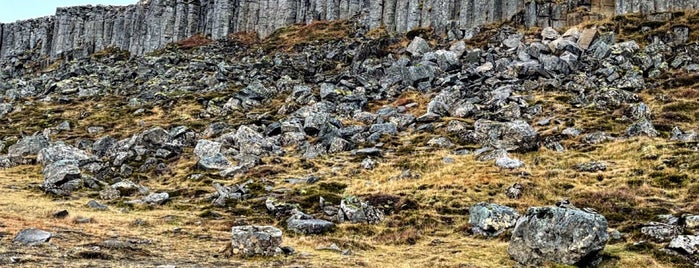 Gerðuberg Cliffs is one of Iceland.