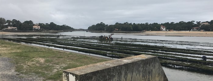 La Tétrade Coté Lac is one of Hossegor.