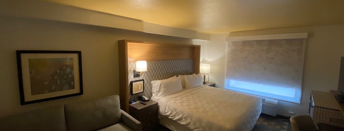 Holiday Inn Houston-InterContinental Arpt is one of IAH.