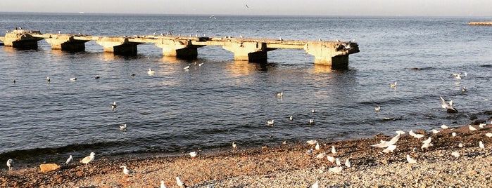 Suadiye Plajı is one of สถานที่ที่ 👑✨IŞIK CEREN E.Y✨👑 ถูกใจ.