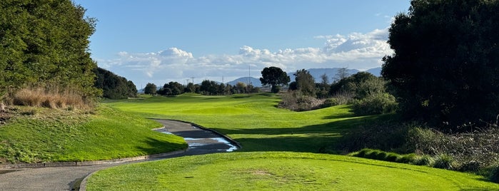 Stonetree Golf Club is one of Golf courses.