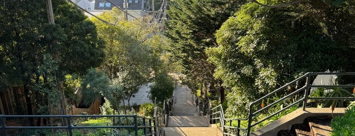 22nd Street Jungle Stairs is one of 47* hills of San Francisco.