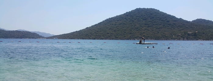 Kaş Mo Camp is one of Selinさんのお気に入りスポット.