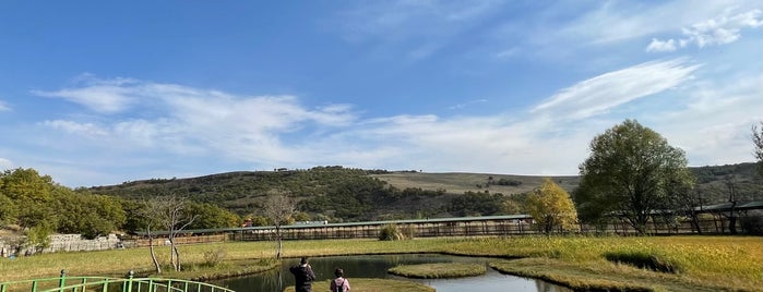 Yüzen Adalar Tabiat Parkı is one of Doğu Anadolu Turu 2018.