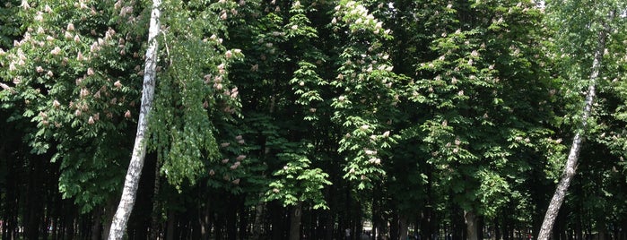 Парк «Юність» is one of Парки, свежий воздух и отдых. Киев.