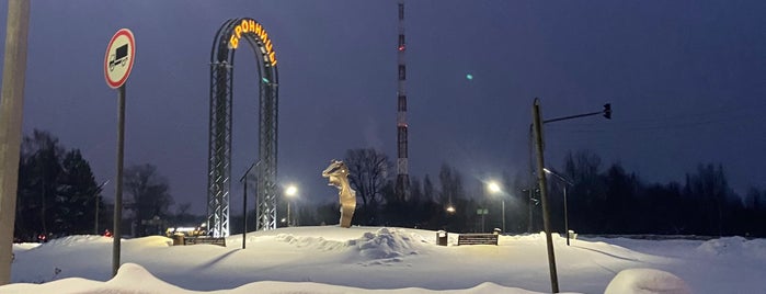 Бронницы is one of New year.