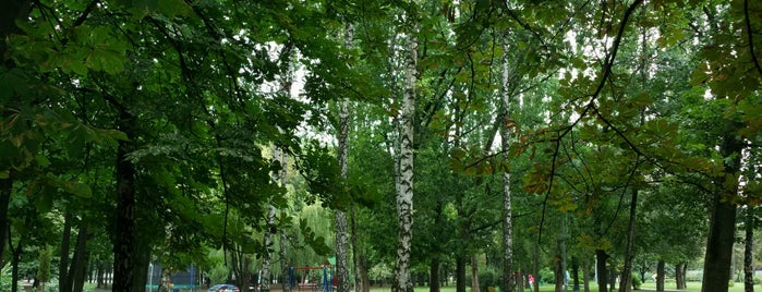 Парк «Юність» is one of Парки.