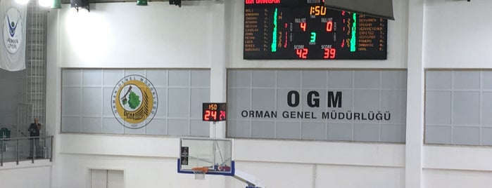 M.Sait Zarifoğlu OGM Spor Salonu is one of Orte, die Gülin gefallen.