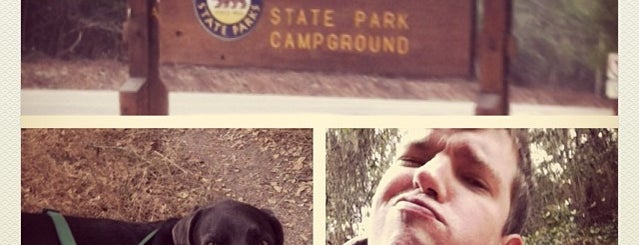 Henry Cowell State Park Campground is one of Posti che sono piaciuti a Dave.