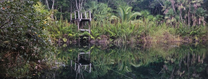 Cenote Taak Bi Ha is one of Централна Америка.