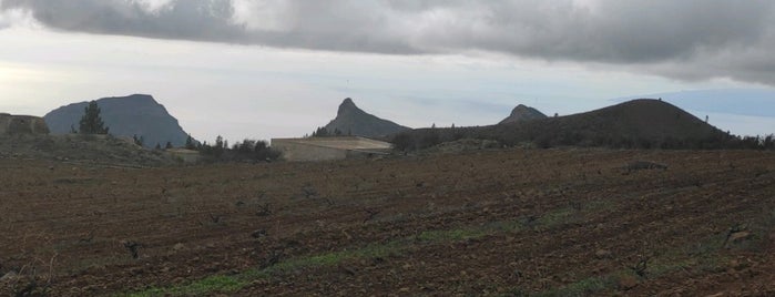 Finca Ecológica Trevejos is one of [ Islas Canarias ].