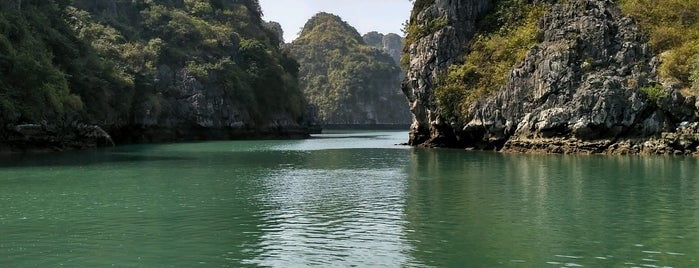 Ha Long Bay Treasure Junk is one of Orte, die Zorica gefallen.