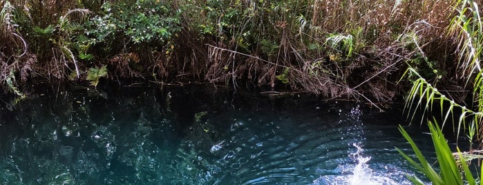 Cenote Escondido is one of Tulum.