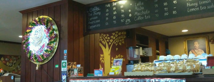 KALDI Coffee is one of Chiang Mai Cafes.