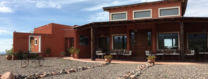 Finca blousson - Wine Lodge is one of Mendoza.