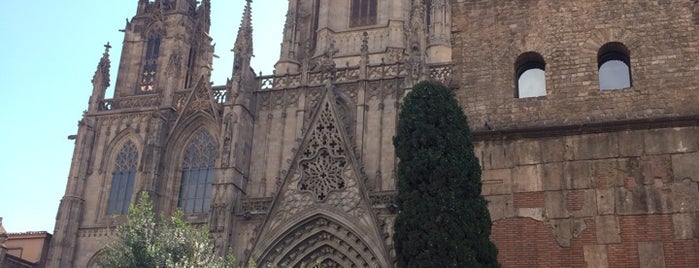 estanco avenida catedral is one of Las mejores cavas de Habanos en Barcelona.