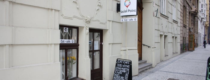 Cat Cafe is one of Prag.